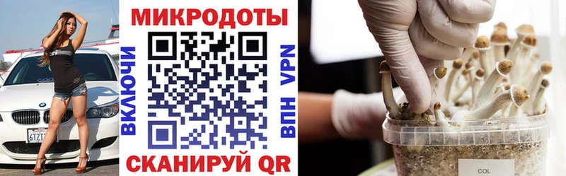 Псилоцибиновые грибы Cubensis  что такое наркотик  Темников 